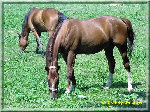 rencontre boussy st antoine